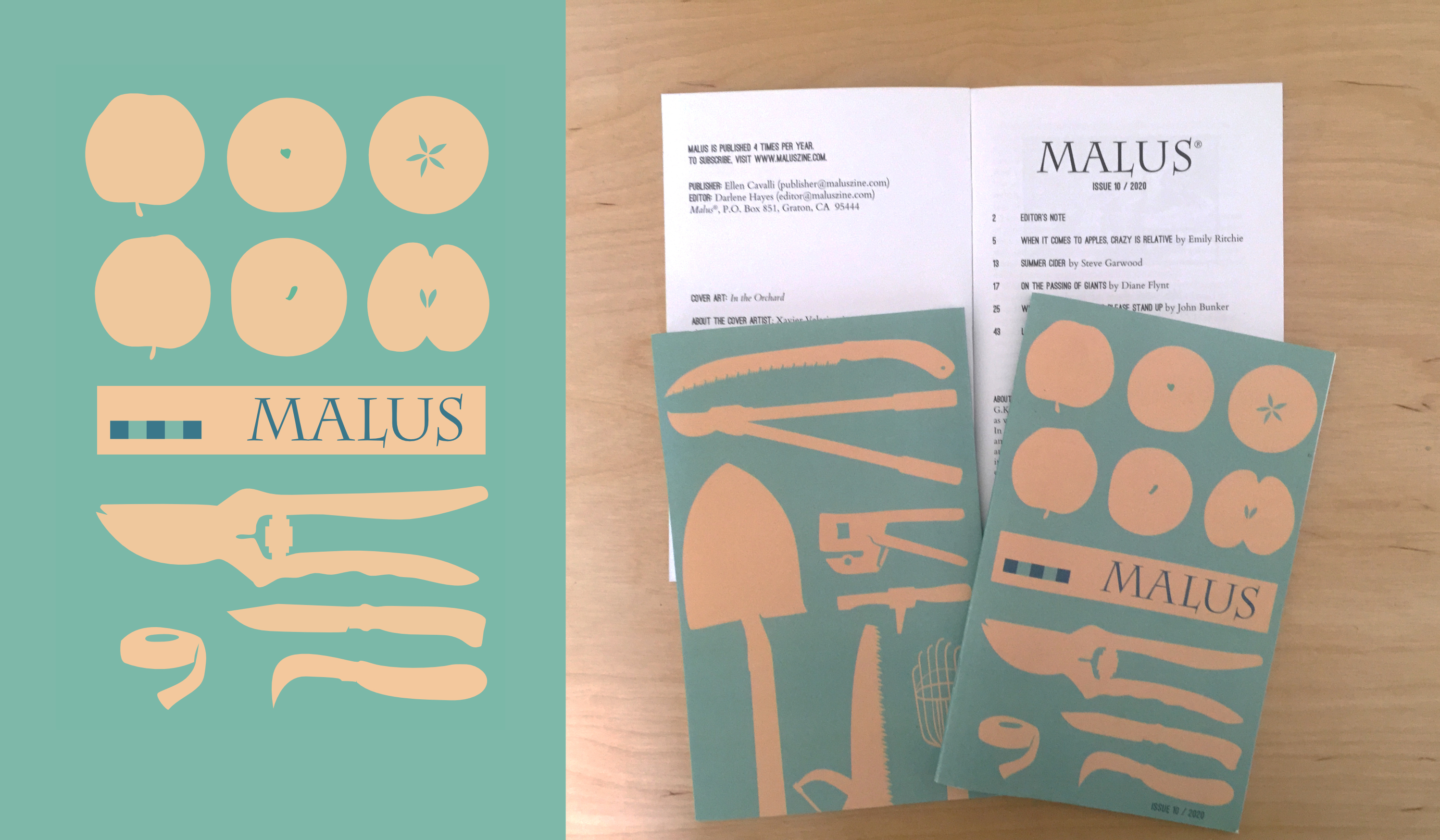 Cover Illustration for Malus Zine - Summer Issue
