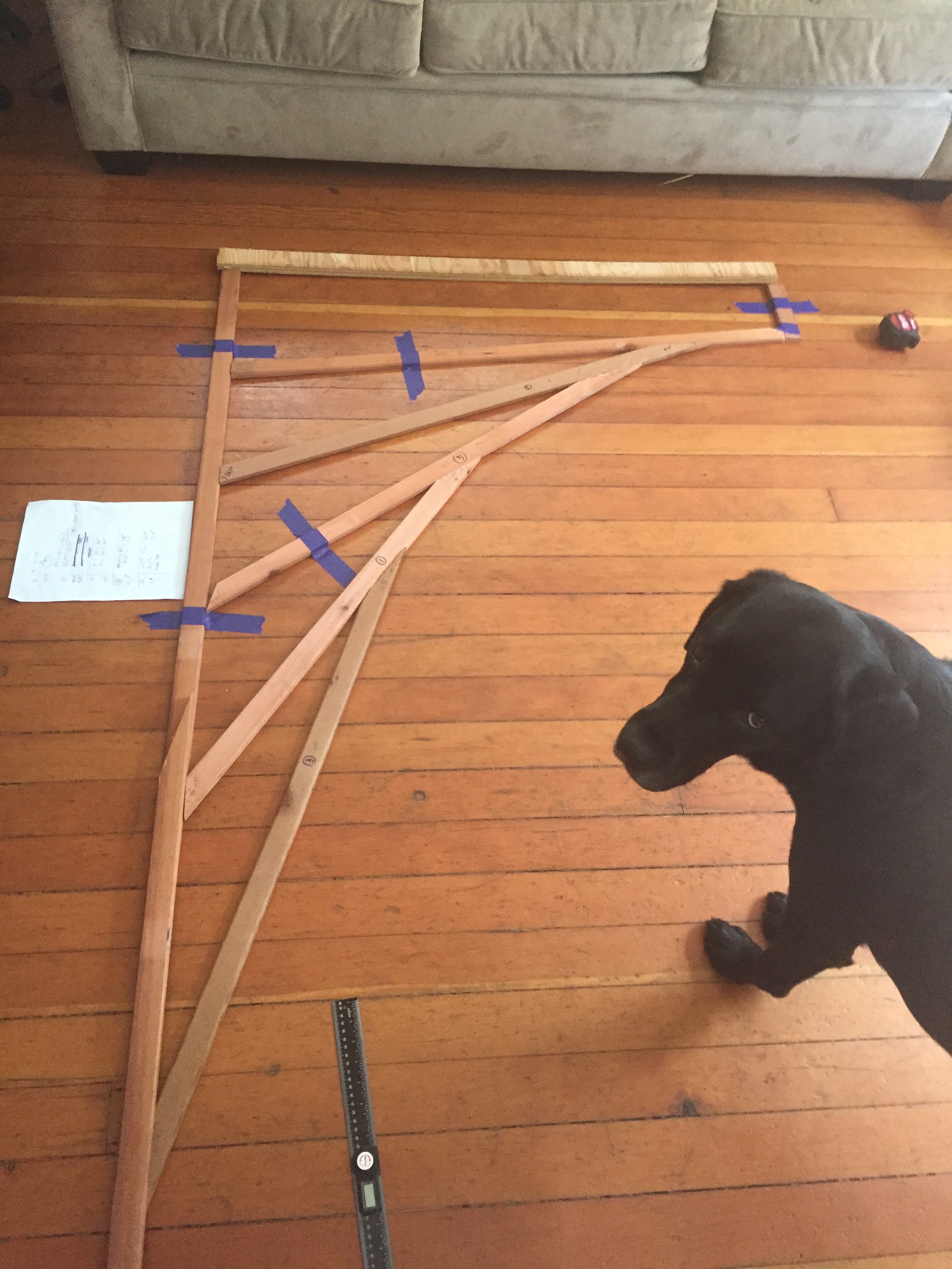 Prototyping with Bruce the dog